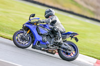 Oulton-Park-14th-March-2020;PJ-Motorsport-Photography-2020;anglesey;brands-hatch;cadwell-park;croft;donington-park;enduro-digital-images;event-digital-images;eventdigitalimages;mallory;no-limits;oulton-park;peter-wileman-photography;racing-digital-images;silverstone;snetterton;trackday-digital-images;trackday-photos;vmcc-banbury-run;welsh-2-day-enduro